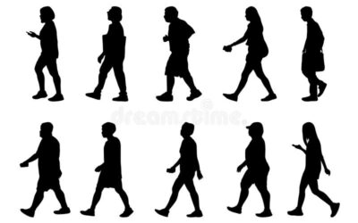 Wandelnieuws voor de TOP-wandelaars van Kombifit